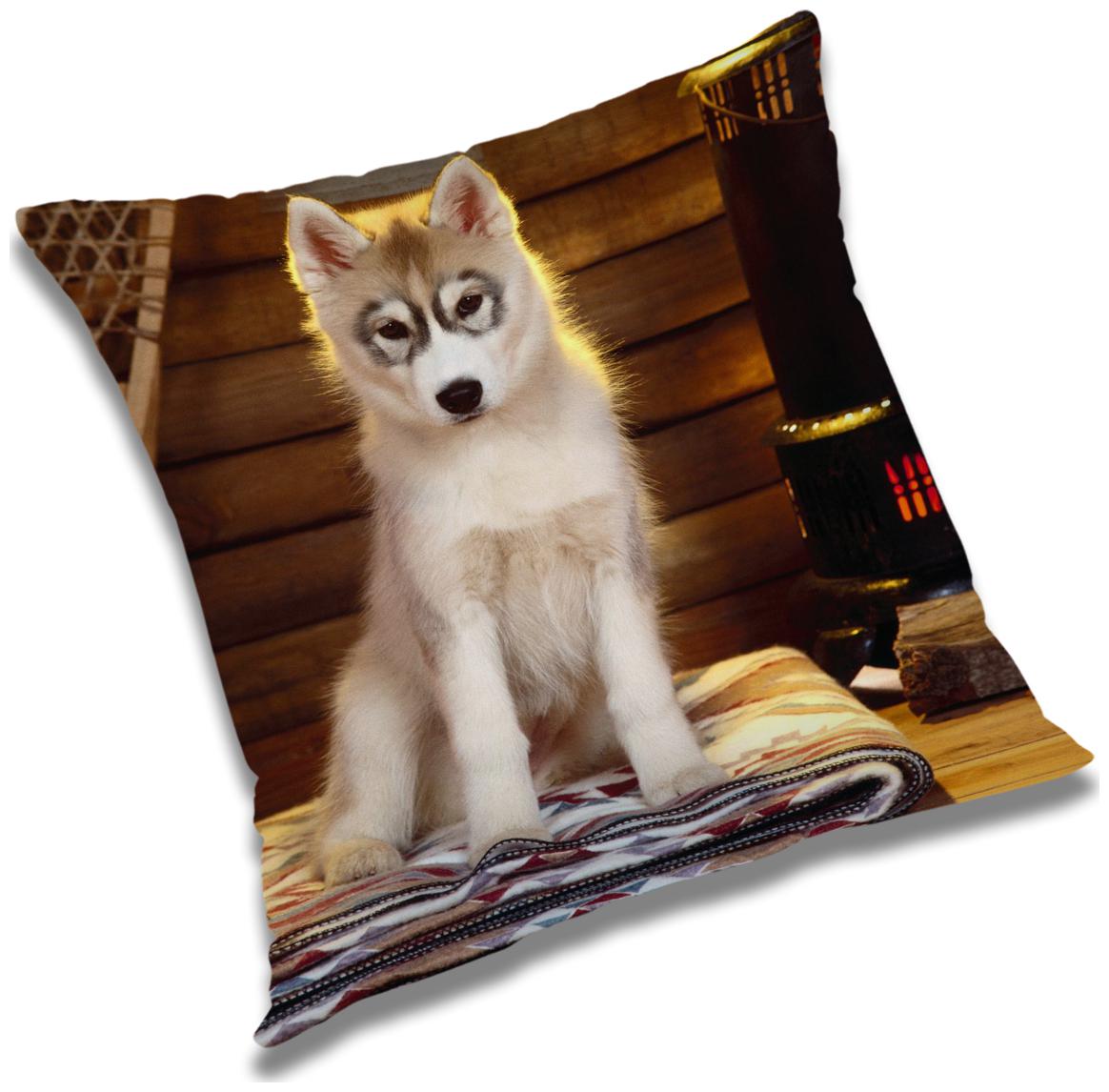 

RADANYA Animal Cushion Cover with Filler Set 16x16 inch