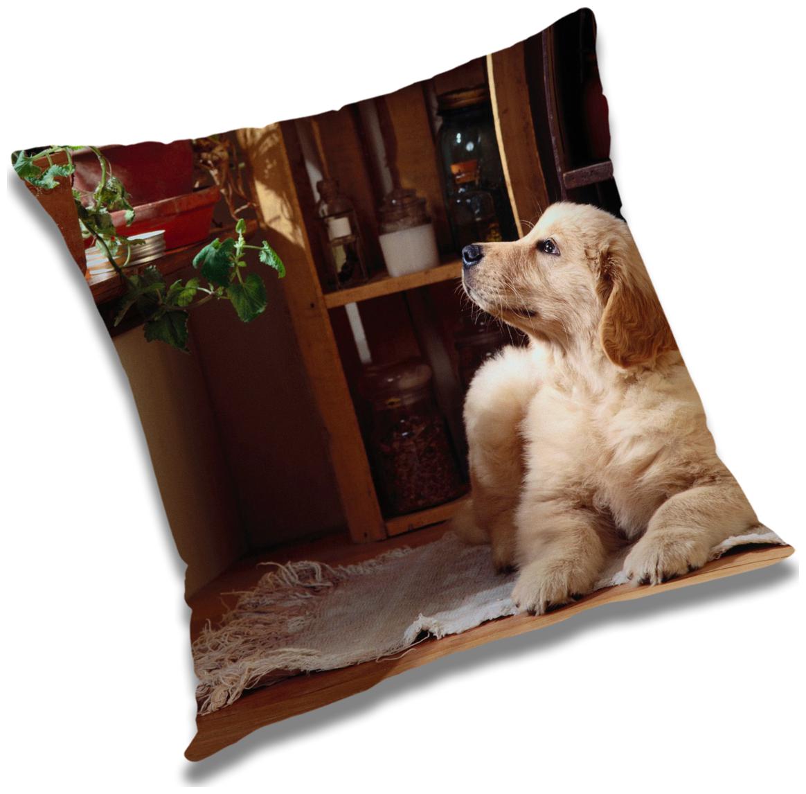 

RADANYA Animal Cushion Cover with Filler Set 18x18 inch