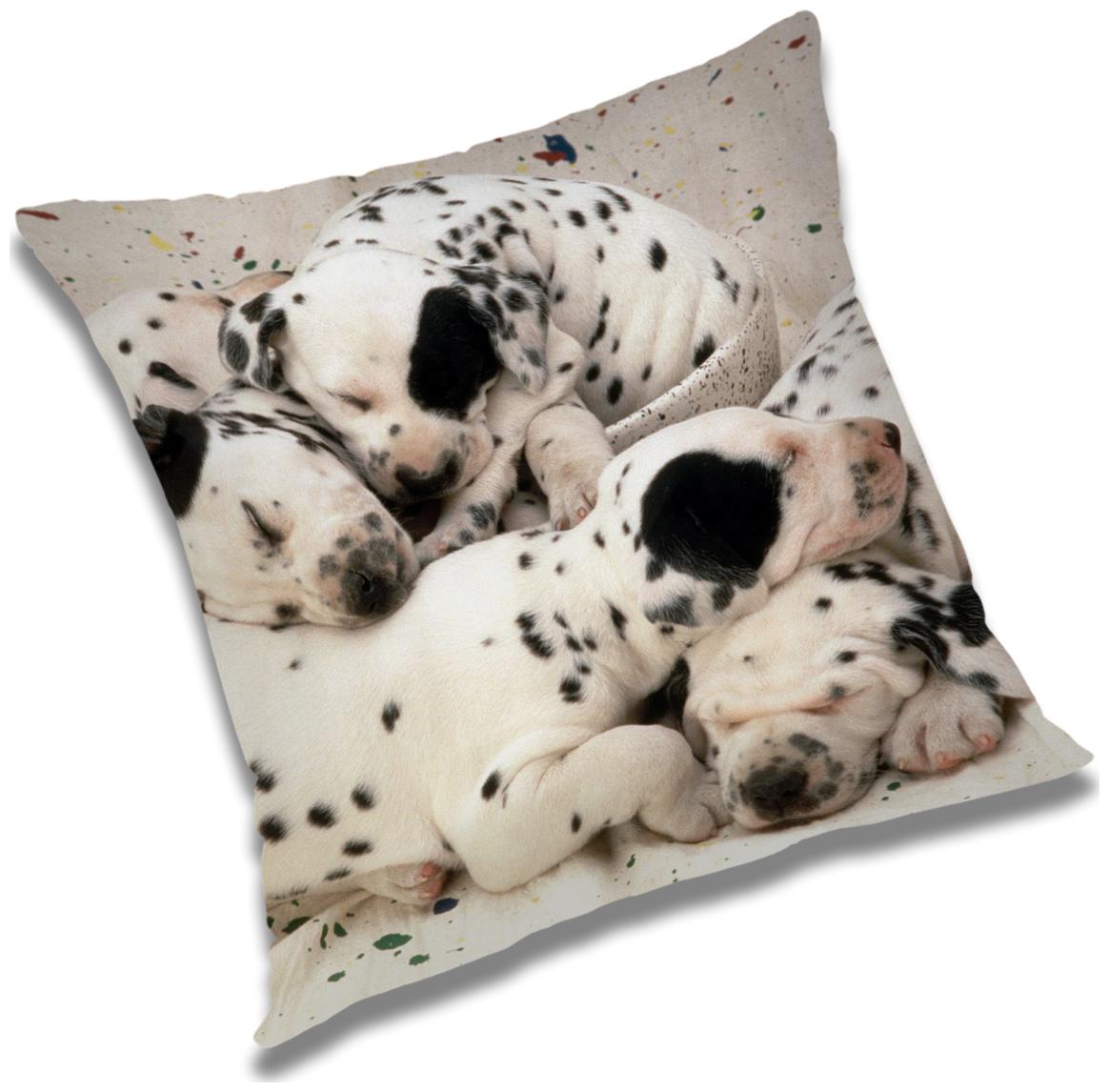

RADANYA Animal Cushion Cover with Filler Set 18x18 inch