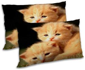 RADANYA Polyester Animal Pillow Covers ( Pack of 2 , Peach )