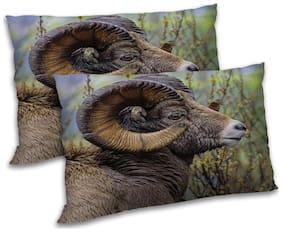 RADANYA Polyester Animal Pillow Covers ( Pack of 2 , Multi )