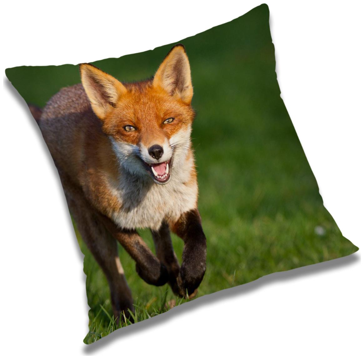 

RADANYA Animal Cushion Cover with Filler Set 16x16 inch