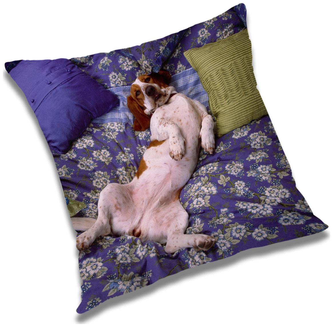 

RADANYA Animal Cushion Cover with Filler Set 20x20 inch