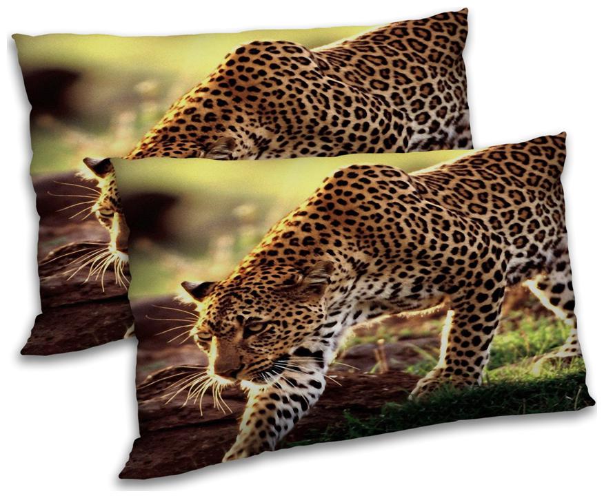 https://assetscdn1.paytm.com/images/catalog/product/H/HO/HOMRADANYA-ANIMRADA9934036B7F1E03/1563118490725_0..jpg