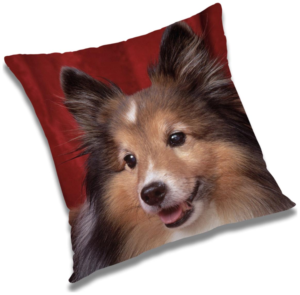 

RADANYA Animal Cushion Cover with Filler Set 12X12 inch
