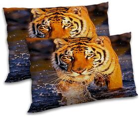 RADANYA Polyester Animal Pillow Covers ( Pack of 2 , Multi )