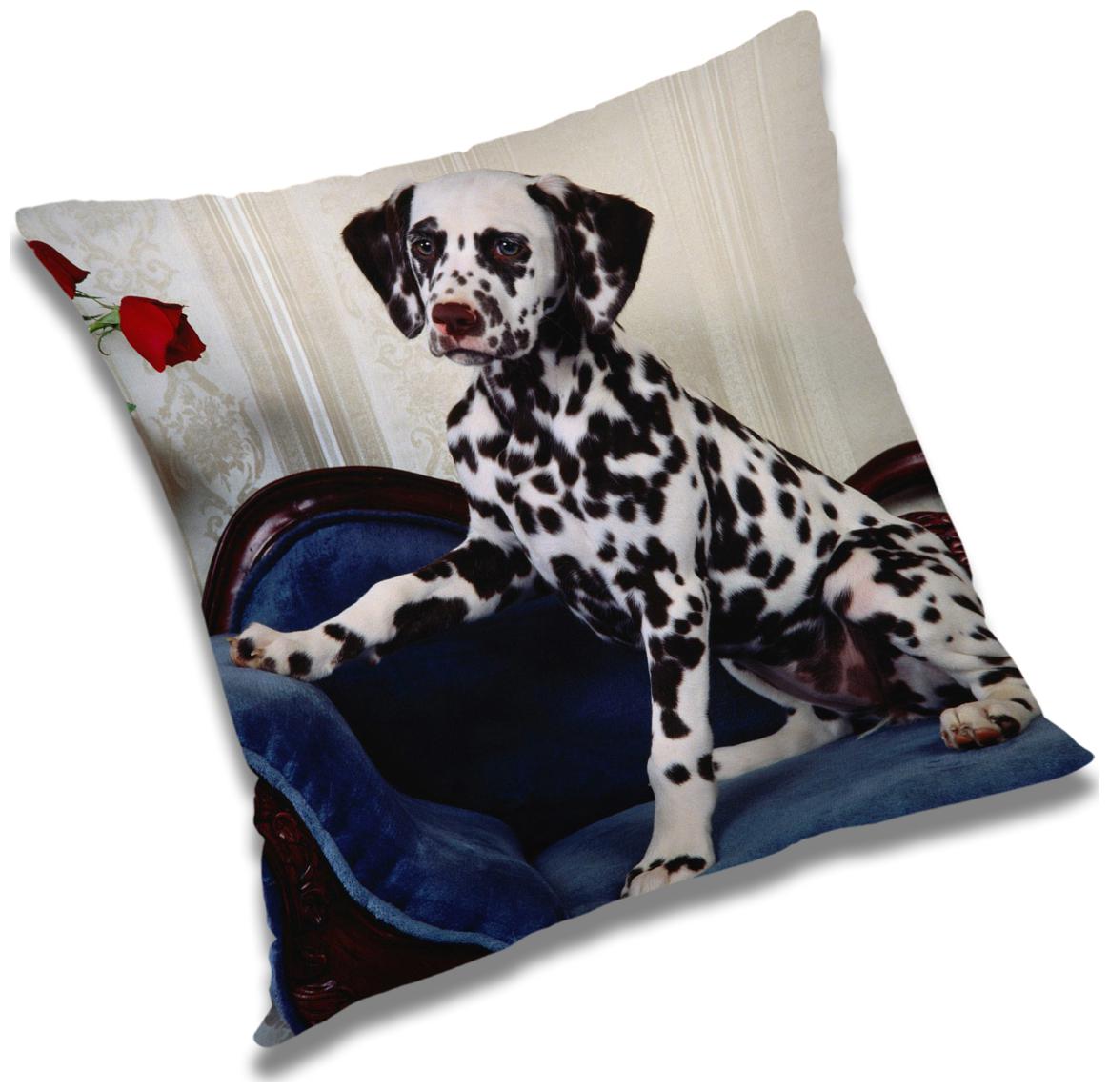 

RADANYA Animal Cushion Cover with Filler Set 12X12 inch
