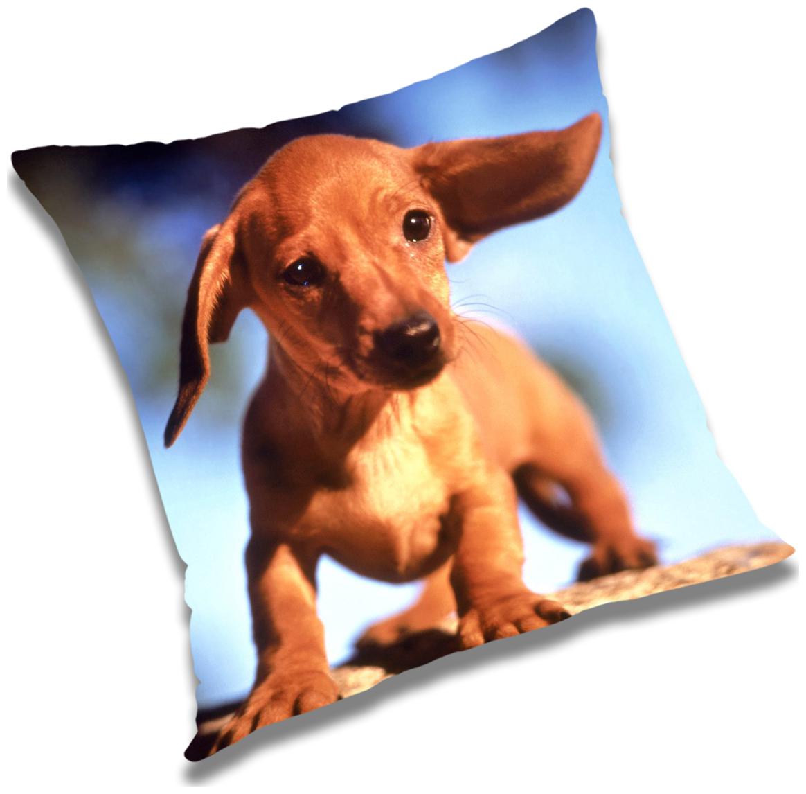 

RADANYA Animal Cushion Cover with Filler Set 20x20 inch