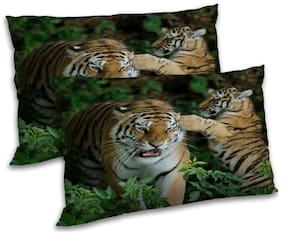 RADANYA Polyester Animal Pillow Covers ( Pack of 2 , Brown )