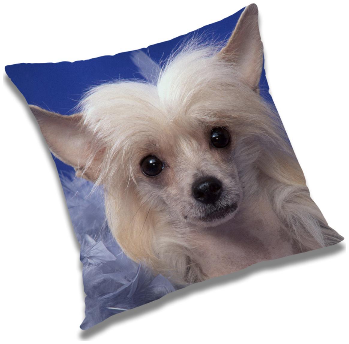 

RADANYA Animal Cushion Cover with Filler Set 12X12 inch