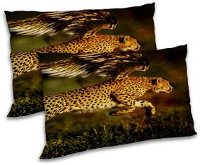 RADANYA Polyester Animal Pillow Covers ( Pack of 2 , Multi )