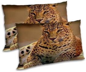 RADANYA Polyester Animal Pillow Covers ( Pack of 2 , Brown )