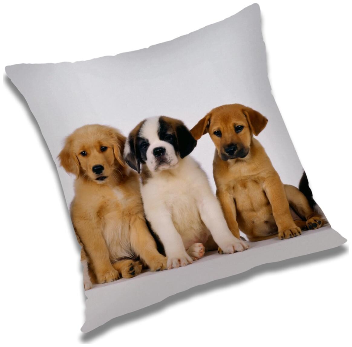 

RADANYA Animal Cushion Cover with Filler Set 18x18 inch