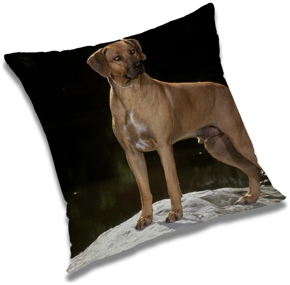 

RADANYA Animal Cushion Cover 24x24 inch