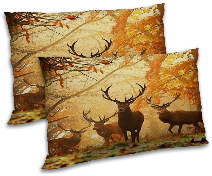 https://assetscdn1.paytm.com/images/catalog/product/H/HO/HOMRADANYA-ANIMRADA993403A8EA95C8/1563047099494_0..jpg