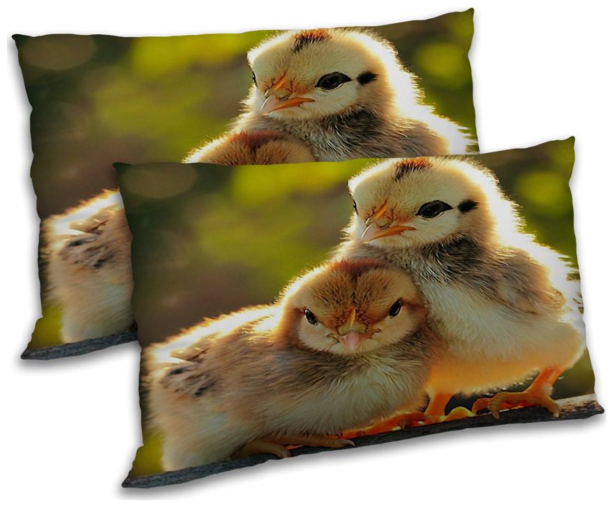 https://assetscdn1.paytm.com/images/catalog/product/H/HO/HOMRADANYA-ANIMRADA993403B3A84FE1/1563118676223_0..jpg