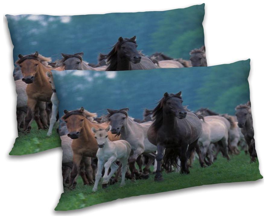 https://assetscdn1.paytm.com/images/catalog/product/H/HO/HOMRADANYA-ANIMRADA993403C4052BA7/1563117209996_0..jpg
