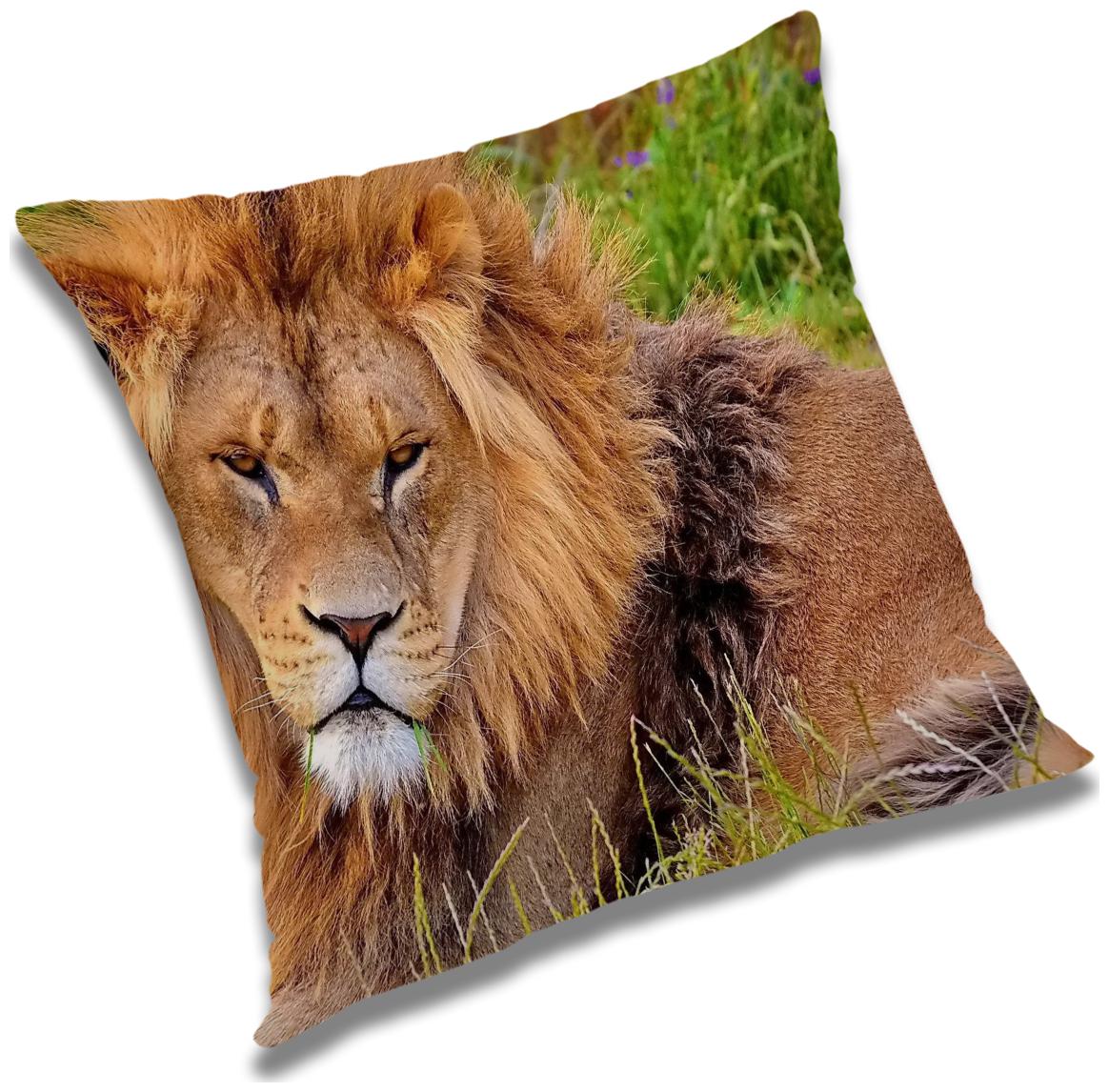 

RADANYA Animal Cushion Cover with Filler Set 12X12 inch
