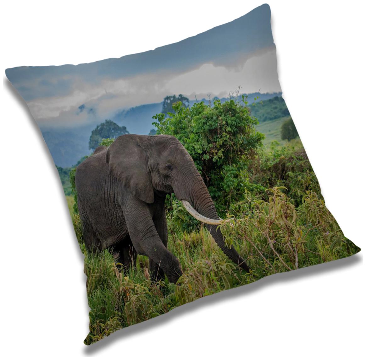 

RADANYA Printed Polyester White Cushion Cover ( Large Pack of 1 )