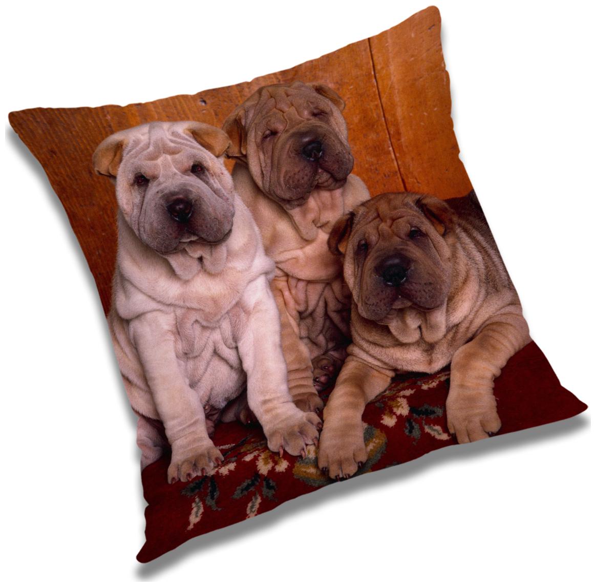 

RADANYA Animal Cushion Cover 24x24 inch
