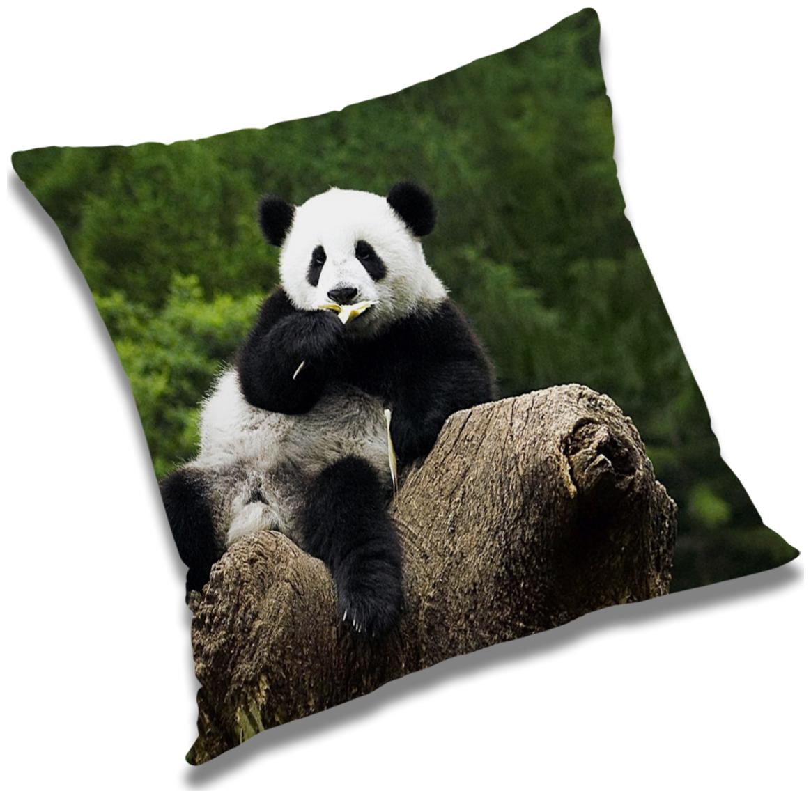 

RADANYA Printed Polyester White Cushion Cover ( Small Pack of 1 )