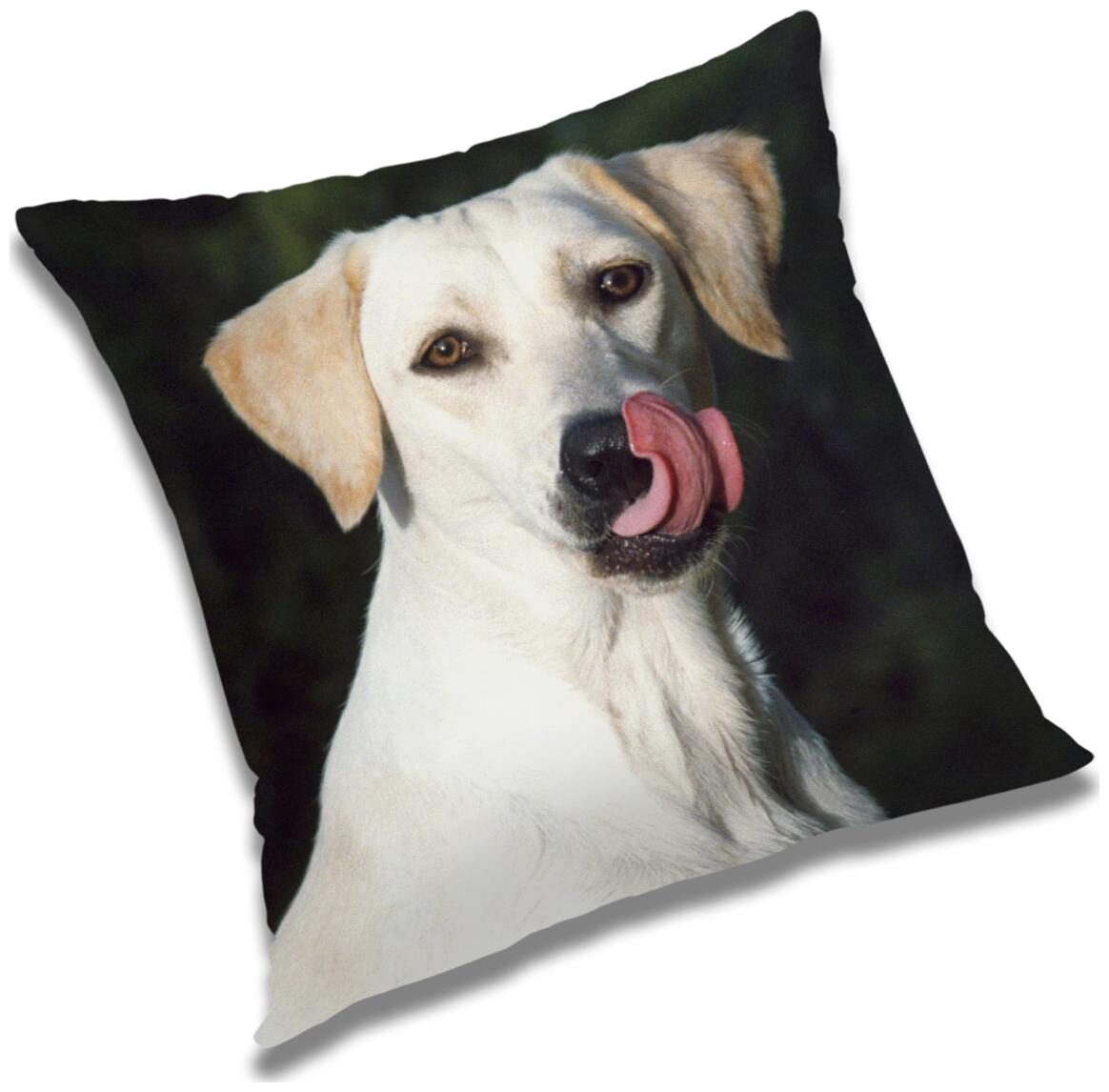 

RADANYA Animal Cushion Cover 24x24 inch