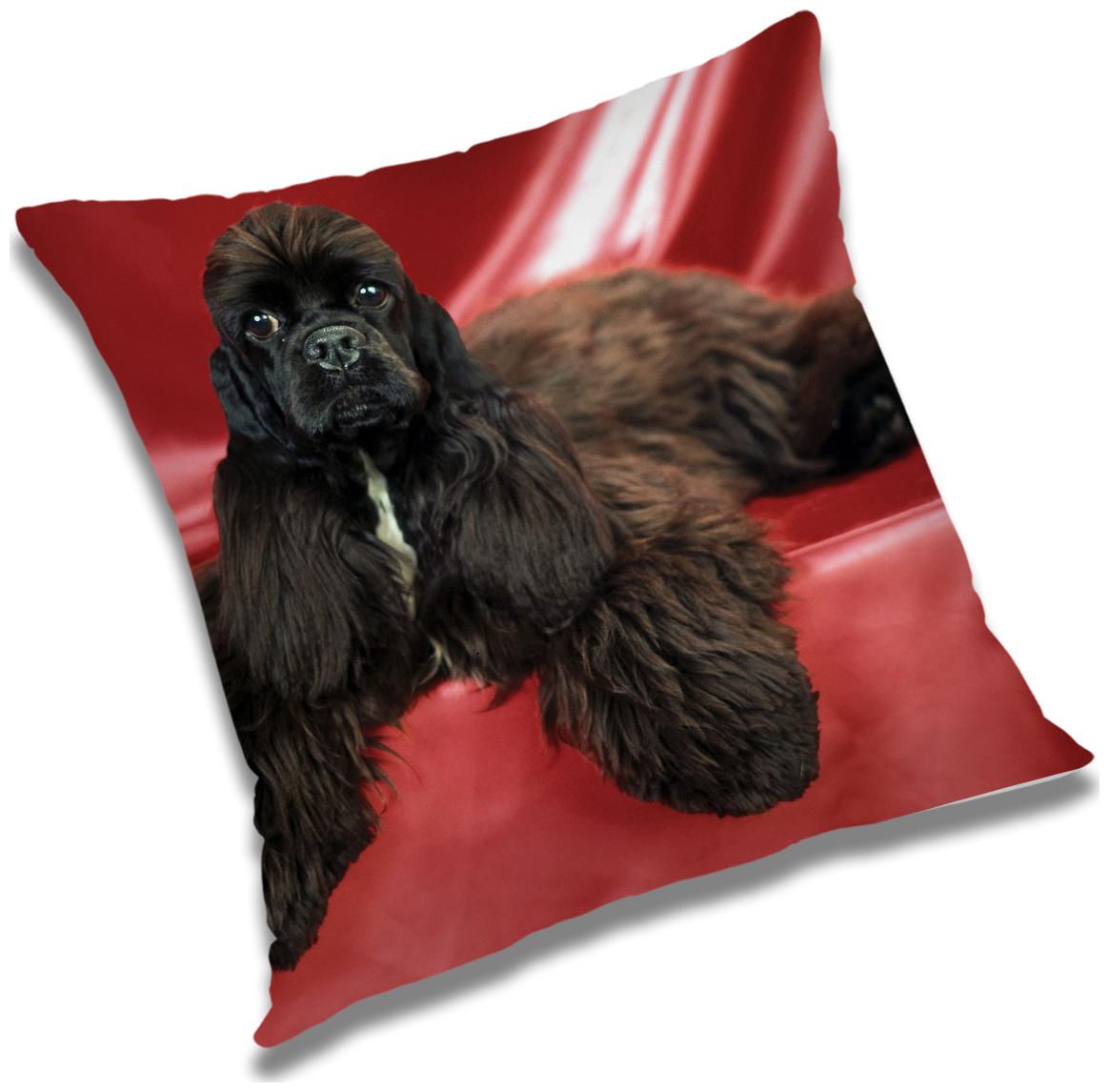 

RADANYA Animal Cushion Cover with Filler Set 12X12 inch