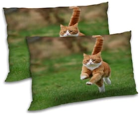 RADANYA Polyester Animal Pillow Covers ( Pack of 2 , Multi )
