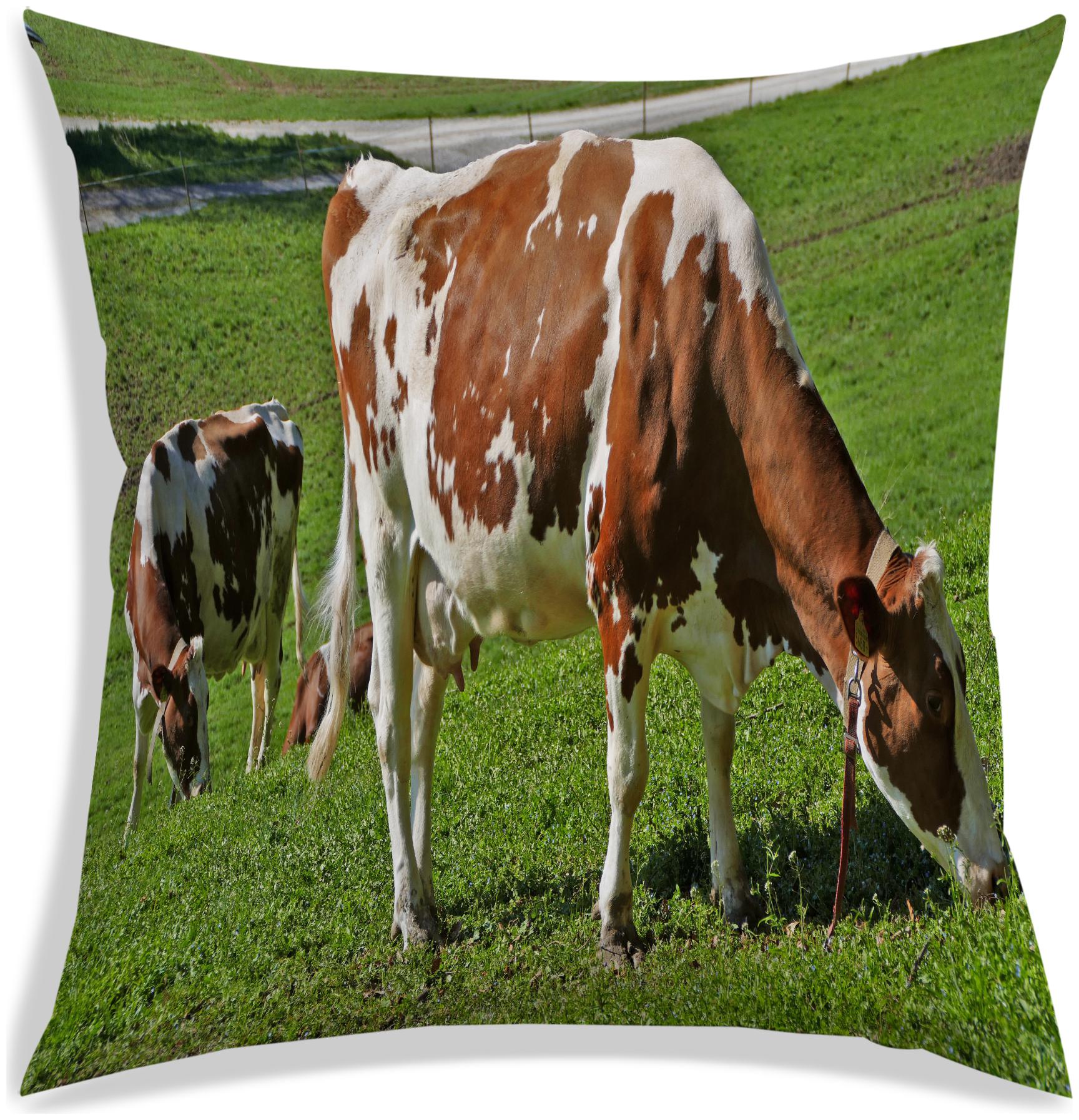 

RADANYA Abstract Polyester Green Cushion Cover ( Regular Pack of 1 )