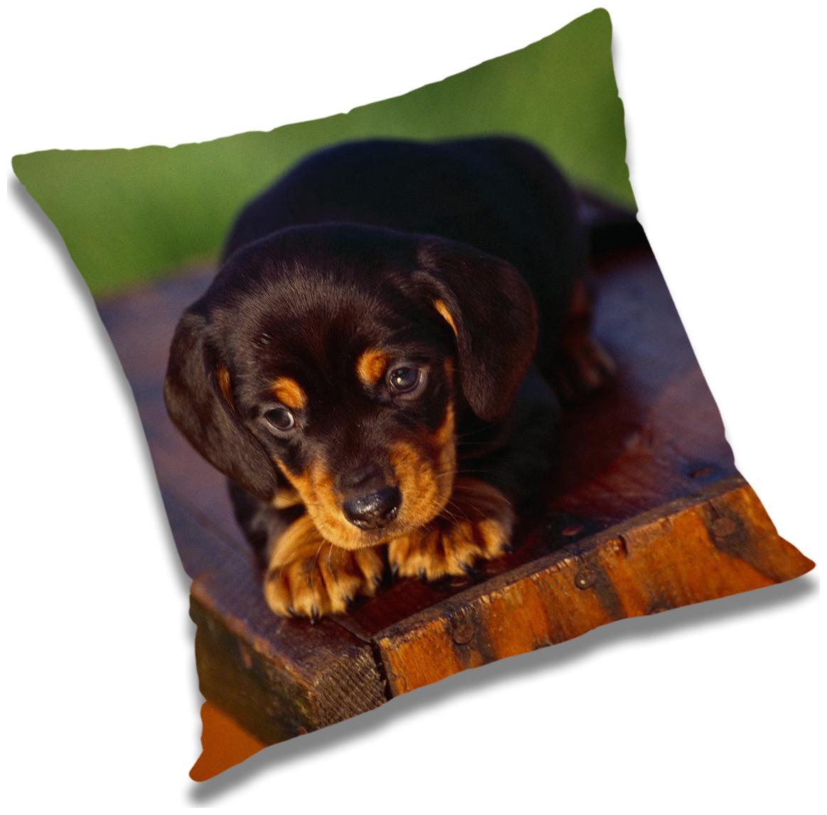 

RADANYA Animal Cushion Cover with Filler Set 12X12 inch