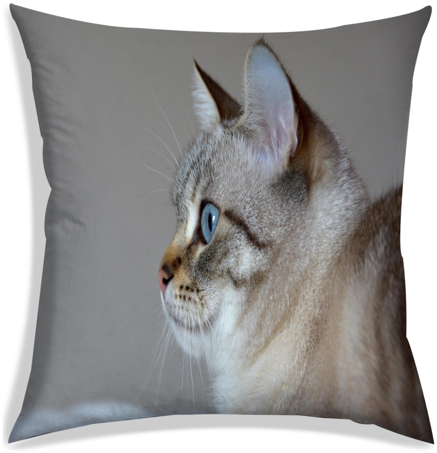 

RADANYA Cat Digital Printing Cushion Cover With Filler-Grey-20x20 inch