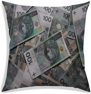 Buy Radanya Currency Digital Printing Pillow Case Print Sofa