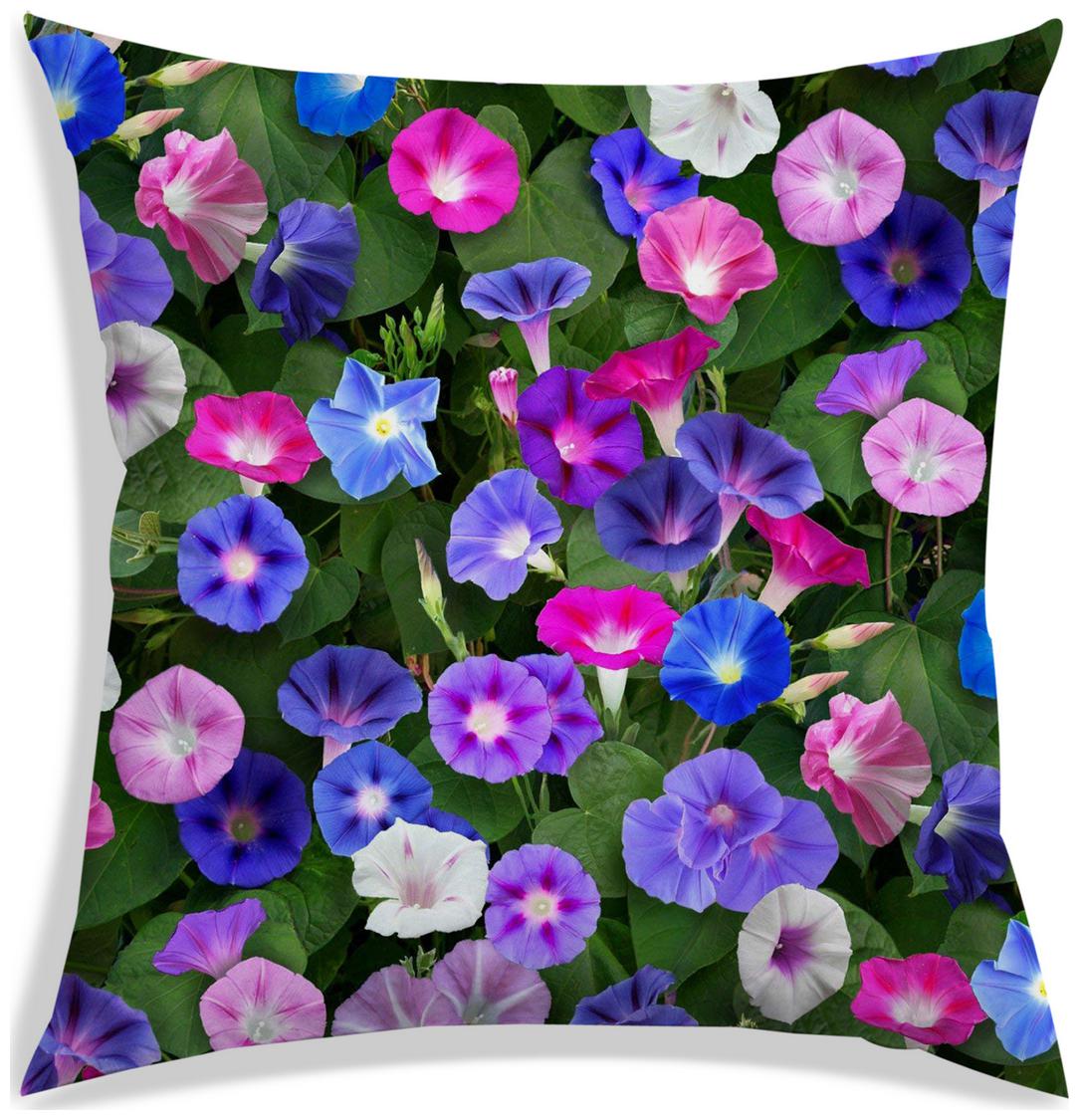 https://assetscdn1.paytm.com/images/catalog/product/H/HO/HOMRADANYA-FLORRADA99340312F21E0E/1563081099544_0..jpg