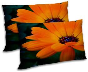 RADANYA Polyester Floral Pillow Covers ( Pack of 2 , Multi )