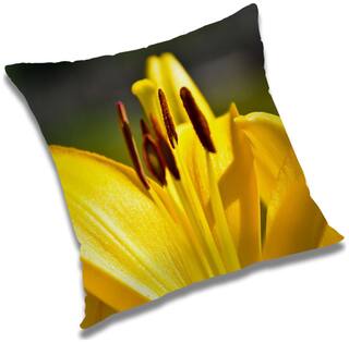 RADANYA Floral Cushion Cover 20x20 inch