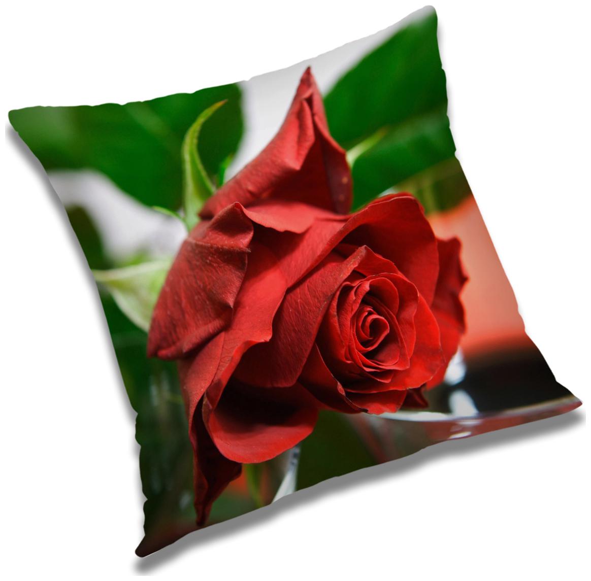 https://assetscdn1.paytm.com/images/catalog/product/H/HO/HOMRADANYA-FLORRADA9934034AAD958E/1563081112947_0..jpg