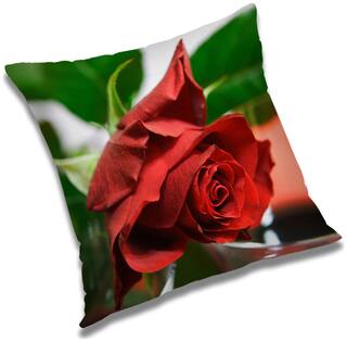 RADANYA Floral Cushion Cover 20x20 inch