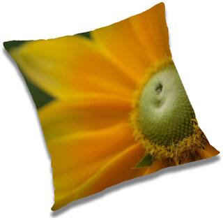 RADANYA Floral Cushion Cover 16x16 inch
