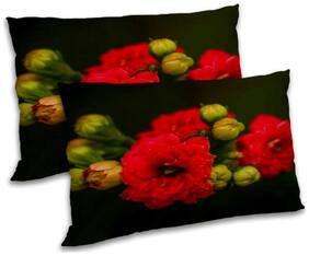 RADANYA Polyester Floral Pillow Covers ( Pack of 2 , Black )