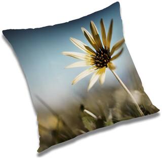 RADANYA Floral Cushion Cover 24x24 inch