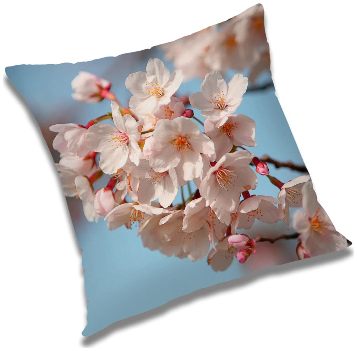 https://assetscdn1.paytm.com/images/catalog/product/H/HO/HOMRADANYA-FLORRADA99340358183A60/1563045545287_0..jpg