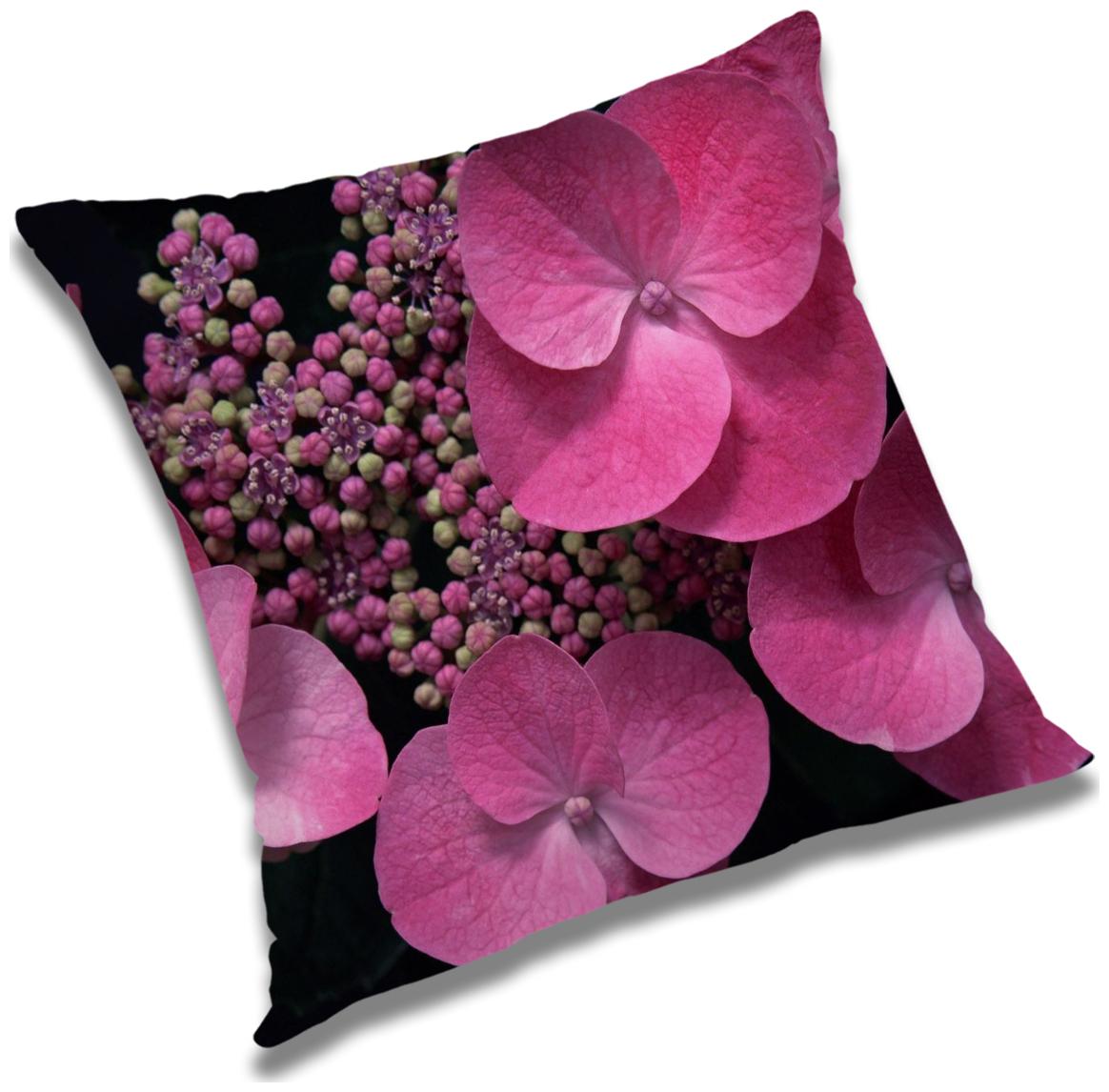 https://assetscdn1.paytm.com/images/catalog/product/H/HO/HOMRADANYA-FLORRADA993403592541D7/1563047641524_0..jpg