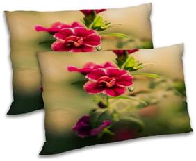 RADANYA Polyester Floral Pillow Covers ( Pack of 2 , Multi )