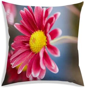 RADANYA Floral Polyester Peach Cushion Cover ( Large , Pack of 1 )