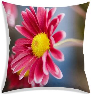 RADANYA Floral Polyester Peach Cushion Cover ( Large , Pack of 1 )