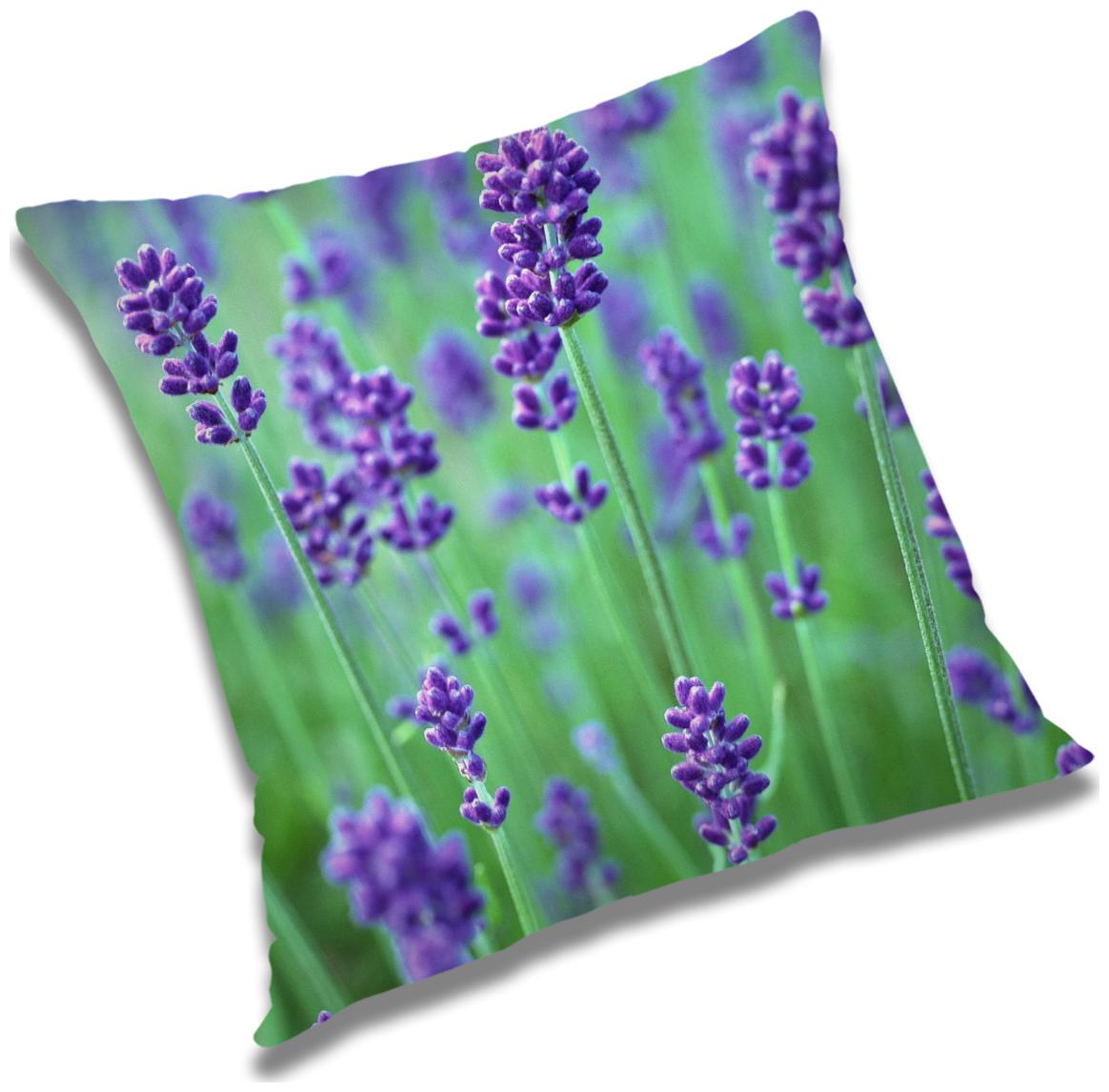 https://assetscdn1.paytm.com/images/catalog/product/H/HO/HOMRADANYA-FLORRADA9934036ED9D312/1563117224154_0..jpg