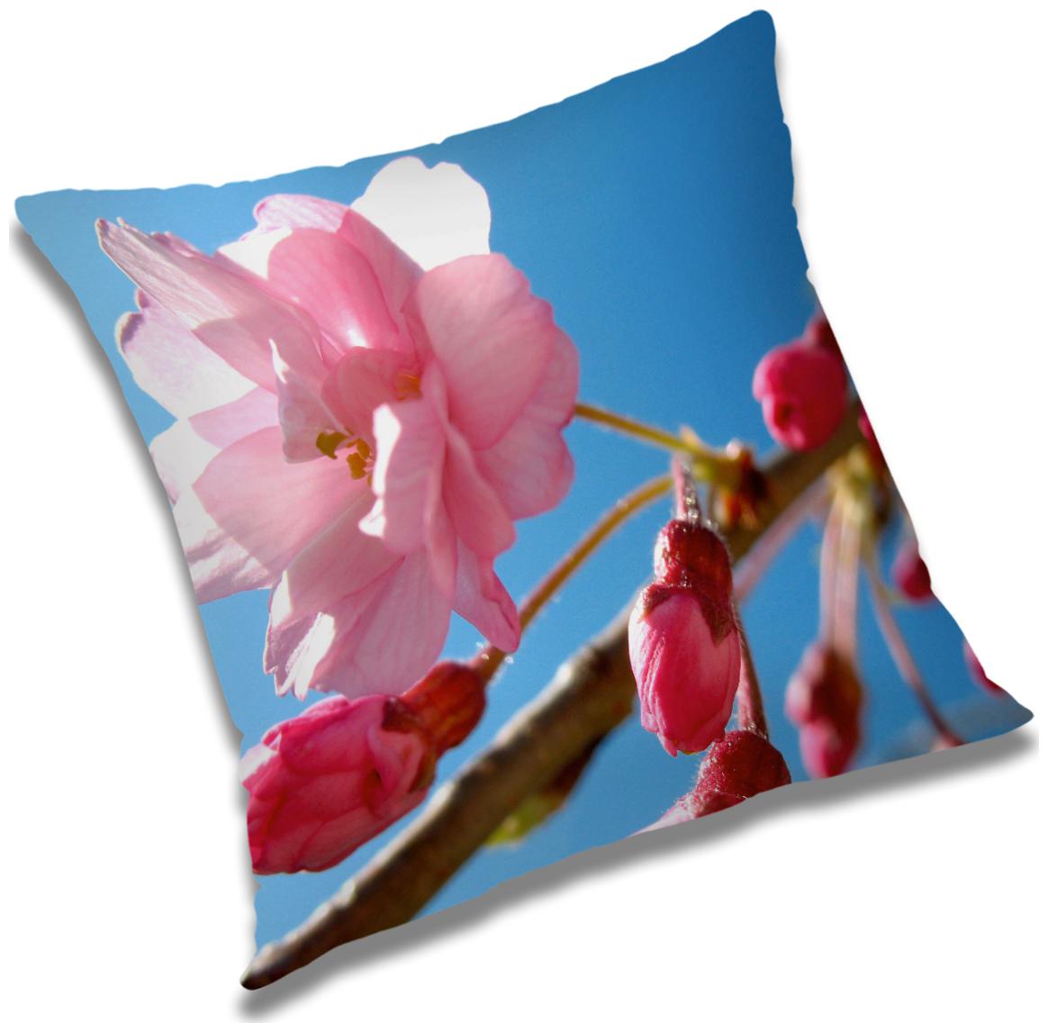 https://assetscdn1.paytm.com/images/catalog/product/H/HO/HOMRADANYA-FLORRADA99340377EFDEC9/1563046552143_0..jpg