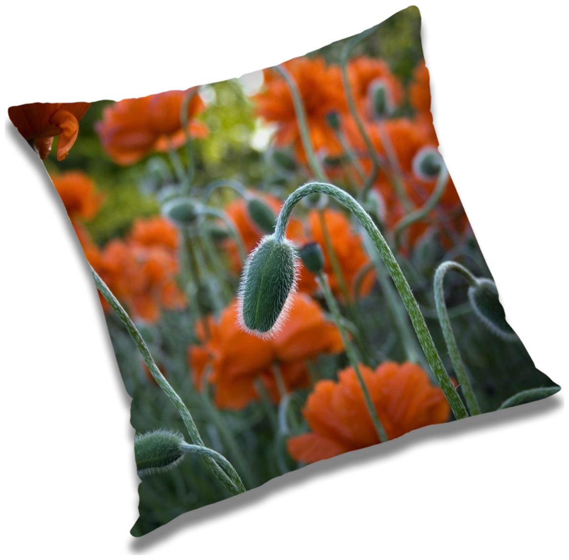 https://assetscdn1.paytm.com/images/catalog/product/H/HO/HOMRADANYA-FLORRADA9934037D93CD37/1563047127508_0..jpg