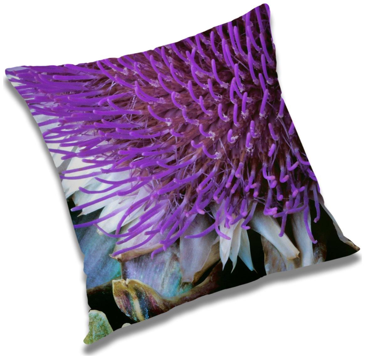 https://assetscdn1.paytm.com/images/catalog/product/H/HO/HOMRADANYA-FLORRADA993403856E980/1563047619529_0..jpg