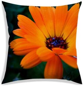 RADANYA Floral Polyester Yellow Cushion Cover ( Large , Pack of 1 )